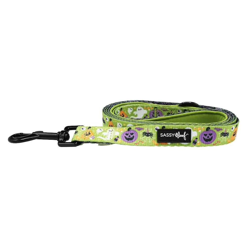 Haunt Mess Leash