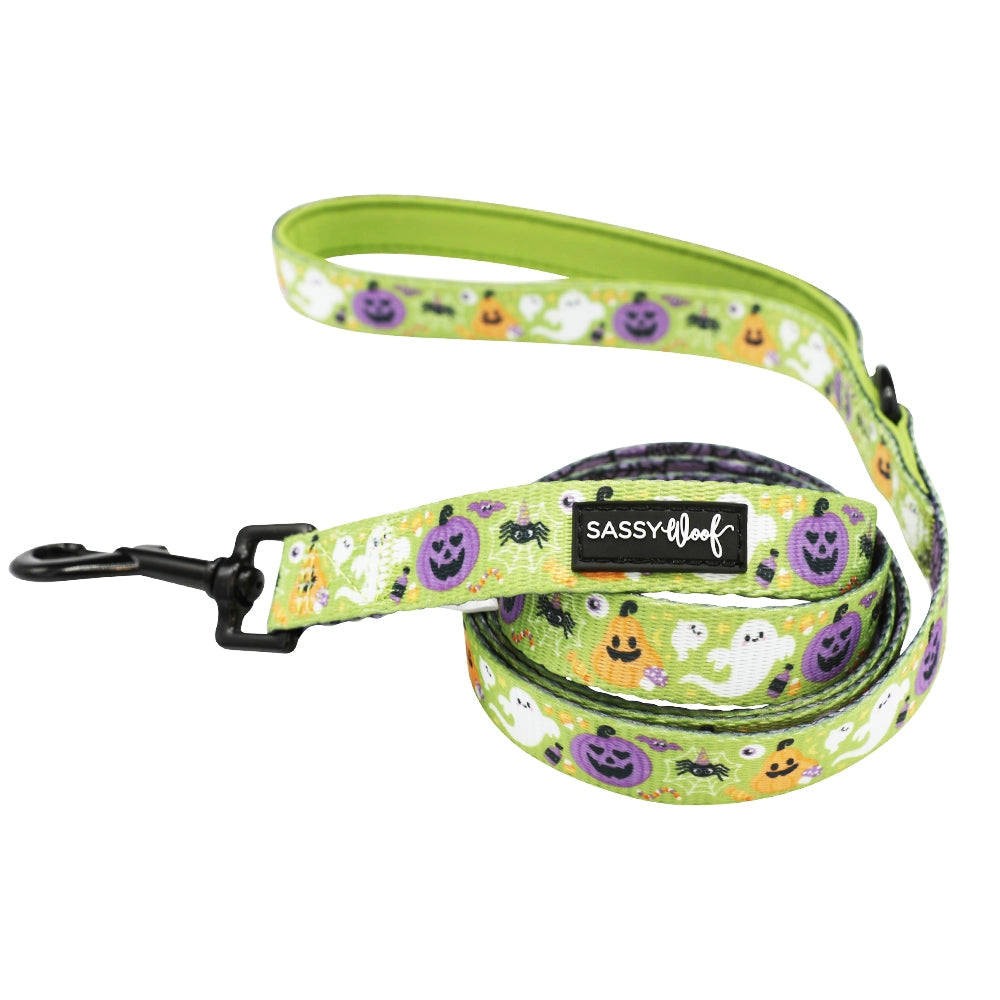 Haunt Mess Leash