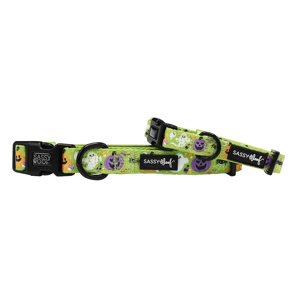 Haunt Mess Dog Collar