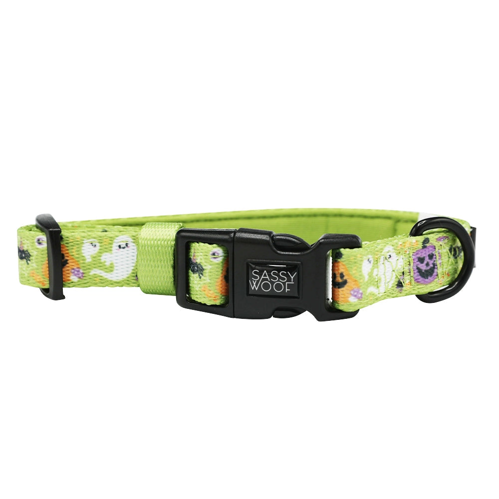 Haunt Mess Dog Collar