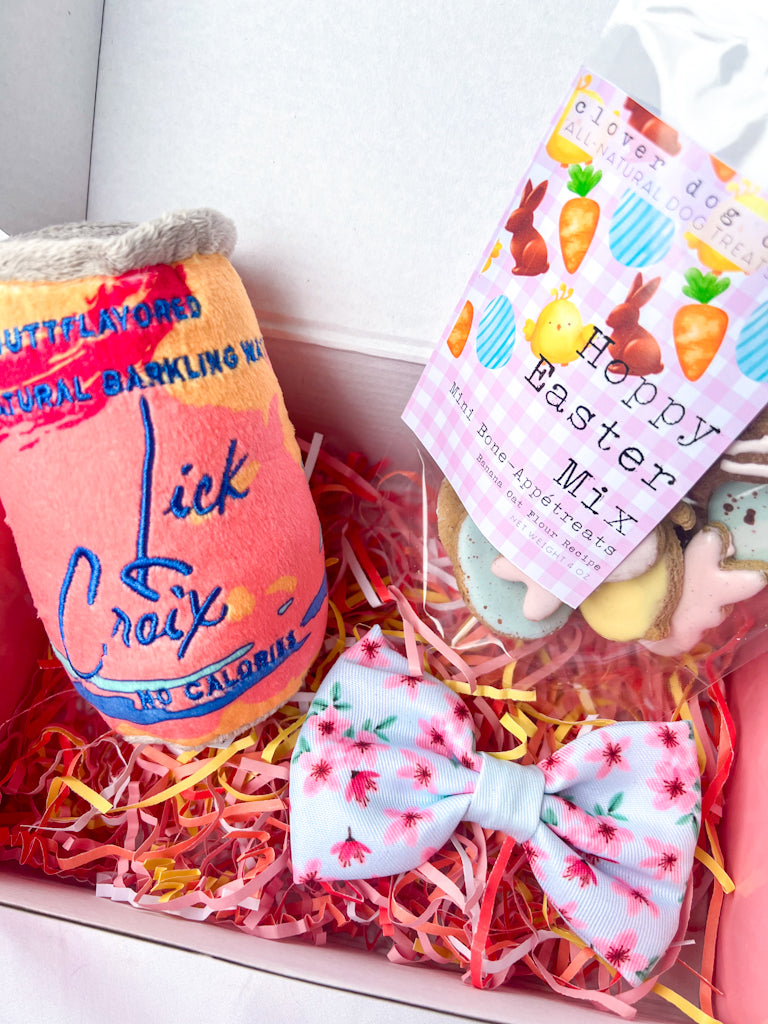 Hop Into Spring Woof Box | The Daisy
