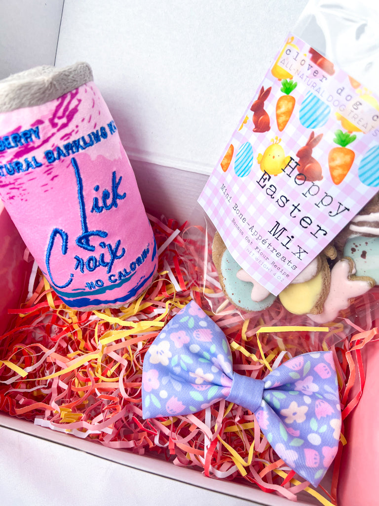 Hop Into Spring Woof Box | The Daisy
