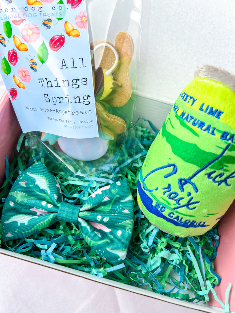 Hop Into Spring Woof Box | The Oliver